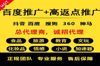 高效SEM托管服务：成功案例深度解析